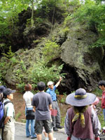 ���R�ώ@��