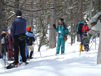 �������ԍ₳��