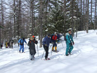 ���ē�����ԍ₳��