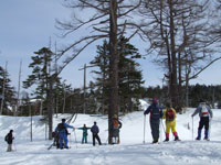 �傢�Ȃ��̖؂̑O��