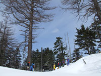 �傢�Ȃ��̖�