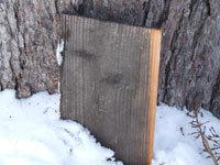 �J���}�c�i�O�ǁj�̗��A��