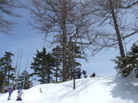 �퍑�J���}�c