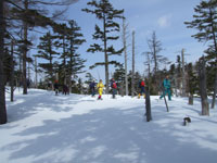 �퍑�J���}�c����ړ���