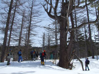 ����J���}�c