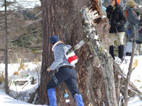 ����J���}�c�ɐG���