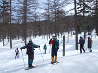 ������ɂǂ���