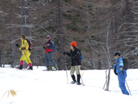 �X�m�[�V���[�E�H�[�L���O