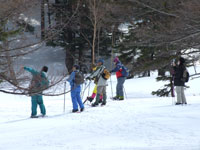 �����������Ă�������