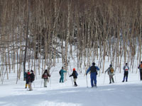 �_�P�J���o�̈�ėт�