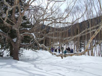 ���Ȃ€�J���o�ɓ���