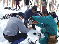 �J�o�m�A�i�^�P�����ǂ���