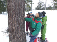 ���ꂪ���E�ɍs�����J���}�c��