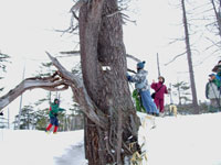 ���������Ă�