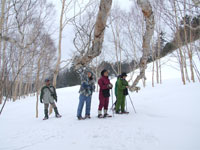 ���Ȃ₩�Ȏ}�Ԃ�