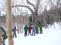 �\��J���o�̑O��