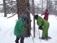 ������ώ@