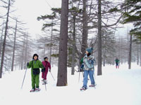 �J���}�c�т����