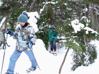 �}�̃g���l������������