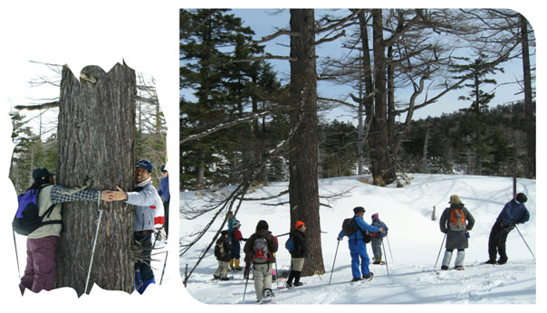 ����J���}�c��ڂ����ς��y����