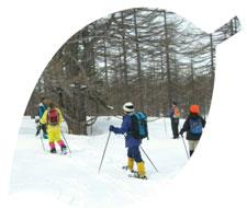 �J���}�c�т̒����s��