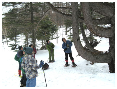 �m�����̑O��