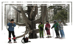 �J�𐁂��ؑ���